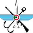 Insignia of the Sudanese Armed Forces. (Creative Commons)